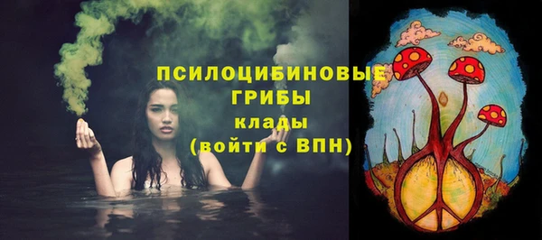 трава Новозыбков