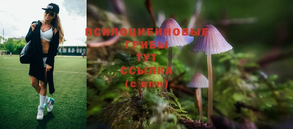 кокс Новодвинск