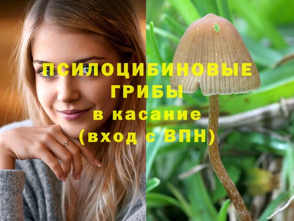 кокс Новодвинск