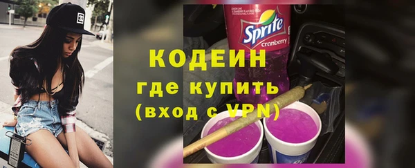 трава Новозыбков