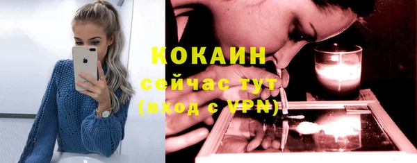 трава Новозыбков
