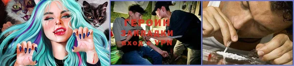 трава Новозыбков