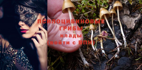 кокс Новодвинск