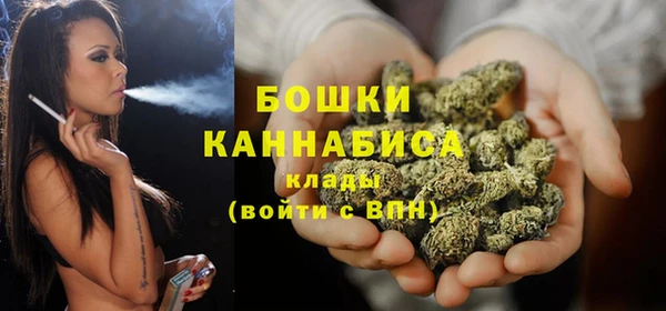 трава Новозыбков