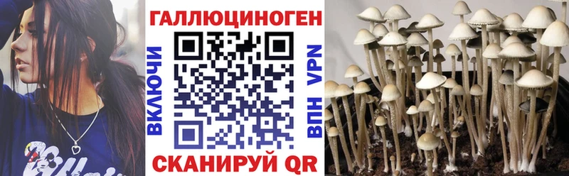 Псилоцибиновые грибы Psilocybe  цена наркотик  Лесозаводск 