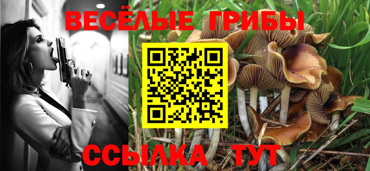 Галлюциногенные грибы GOLDEN TEACHER Лесозаводск