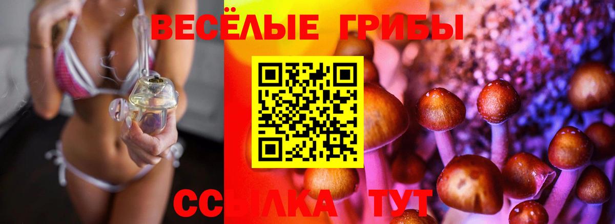 Лесозаводск  Галлюциногенные грибы мицелий  Вход с VPN 